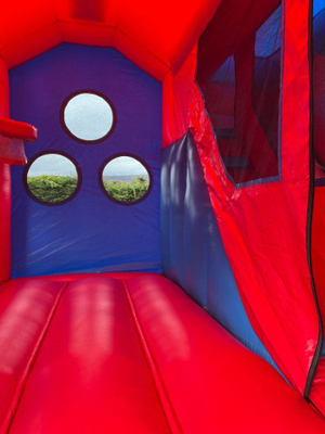 Commercial PVC Bouncy Castle Kids Bouncer Outdoor Inflável